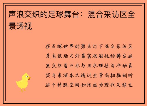 声浪交织的足球舞台：混合采访区全景透视