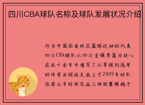 四川CBA球队名称及球队发展状况介绍