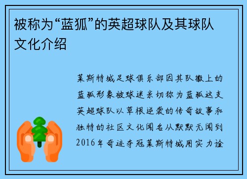 被称为“蓝狐”的英超球队及其球队文化介绍